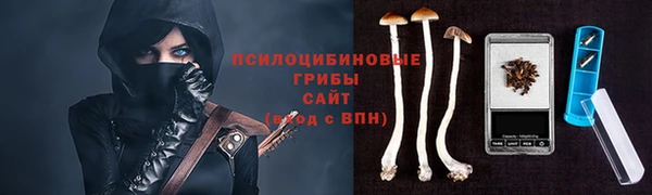 стафф Горняк